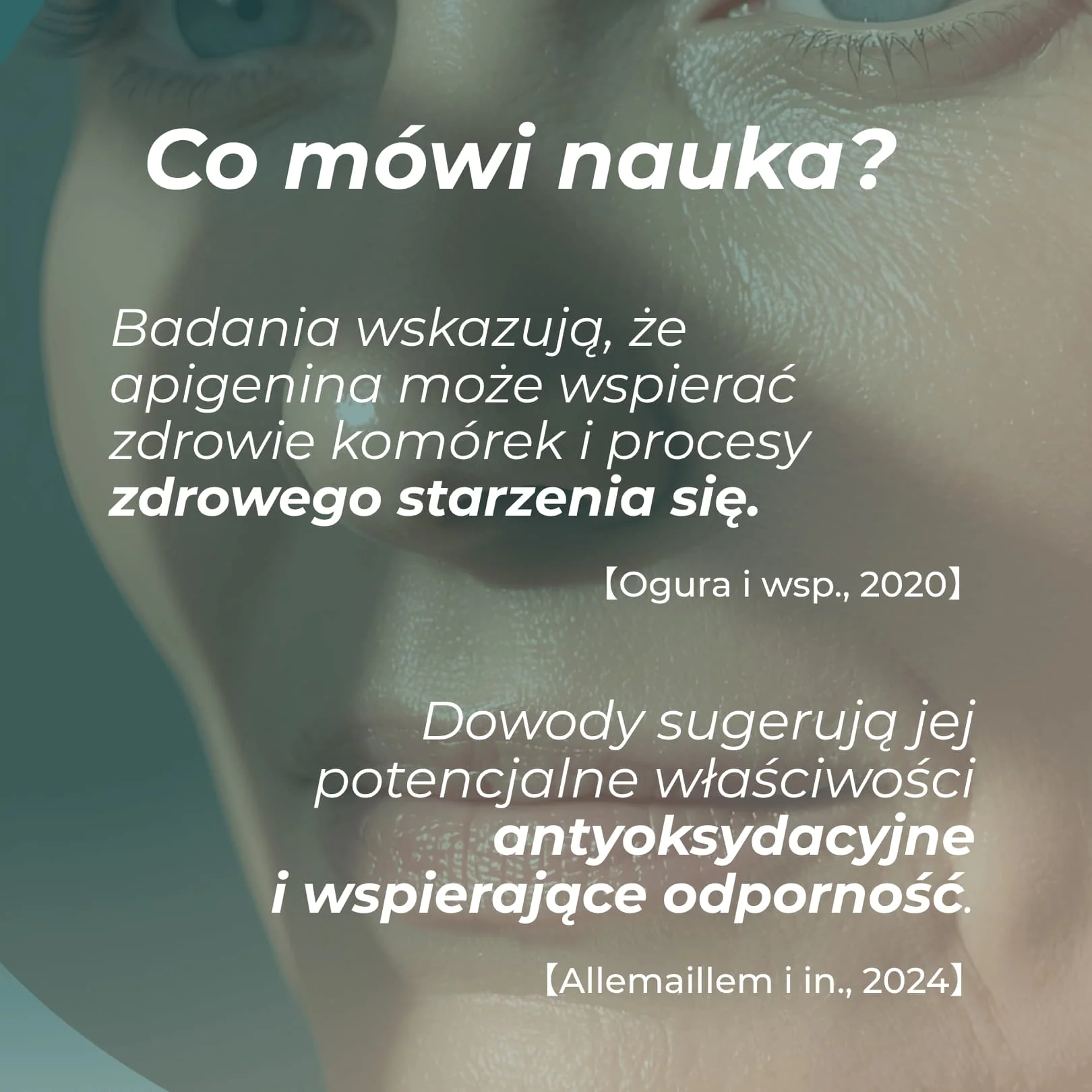 Zdjęcie produktu 4