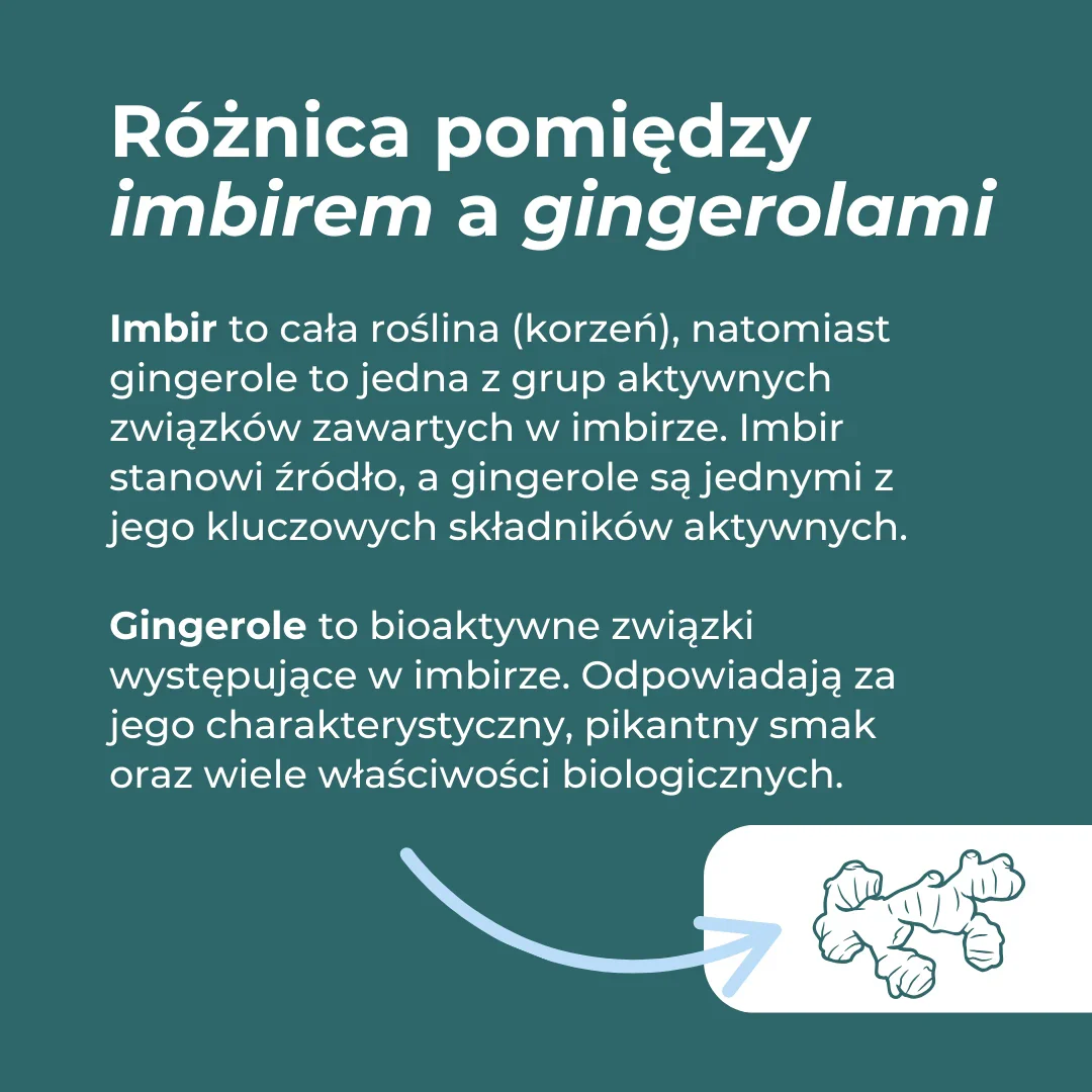 Zdjęcie produktu 6