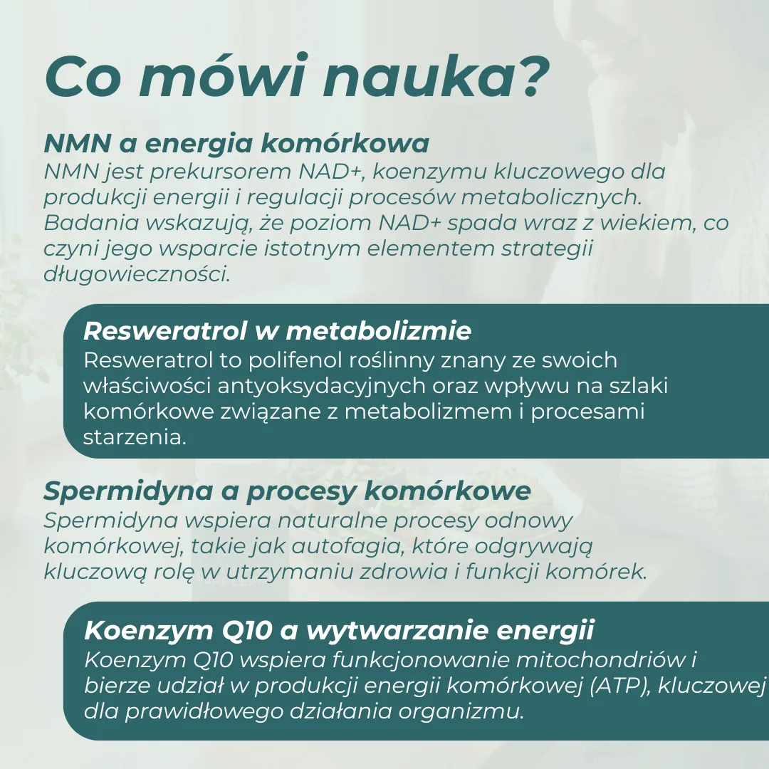 Zdjęcie produktu 5