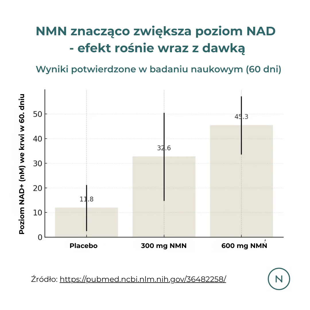 Zdjęcie produktu 7