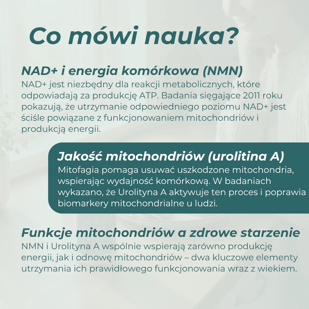 Zdjęcie produktu 5