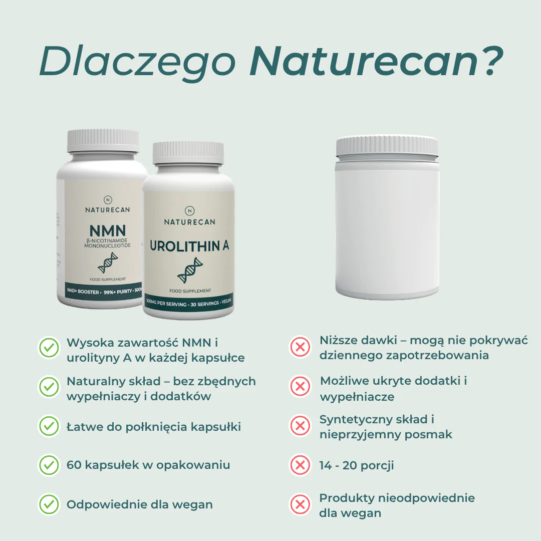 Zdjęcie produktu 7