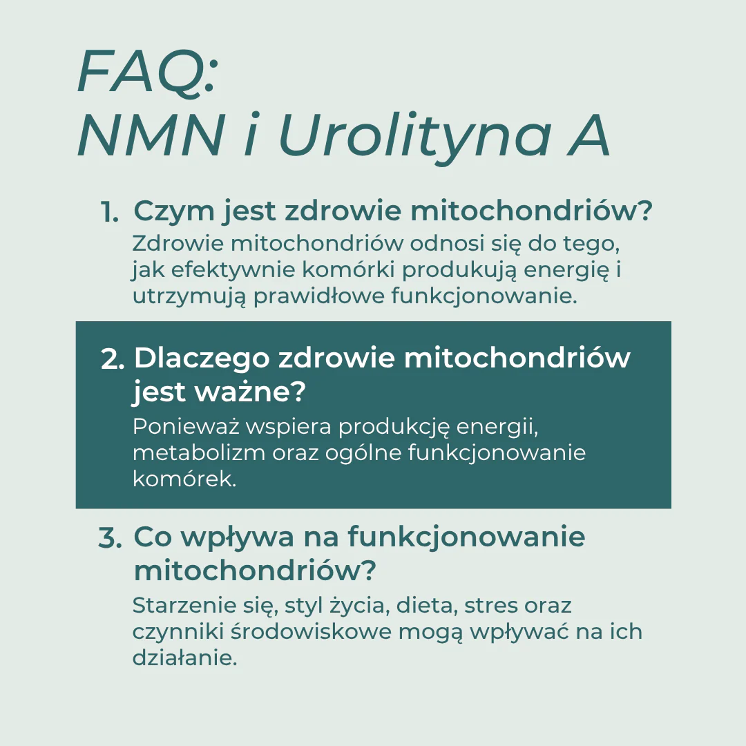 Zdjęcie produktu 8