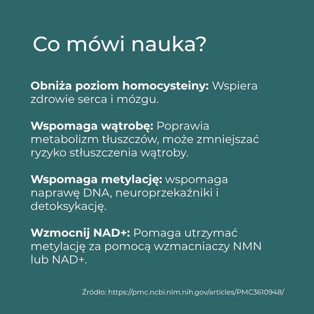 Zdjęcie produktu 4