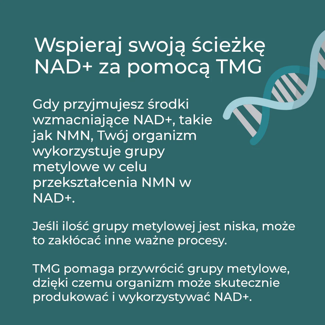Zdjęcie produktu 5