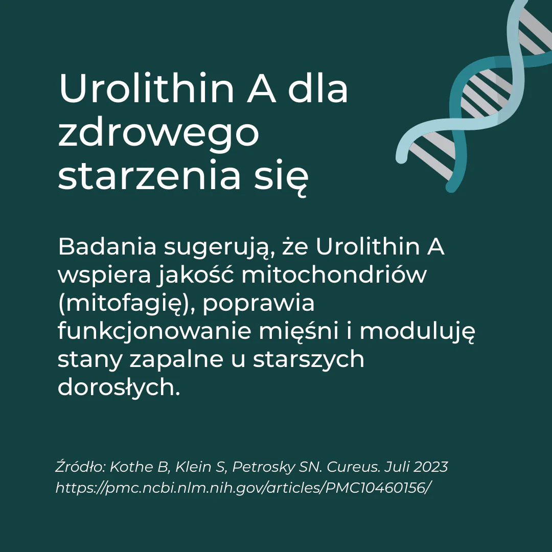 Zdjęcie produktu 4