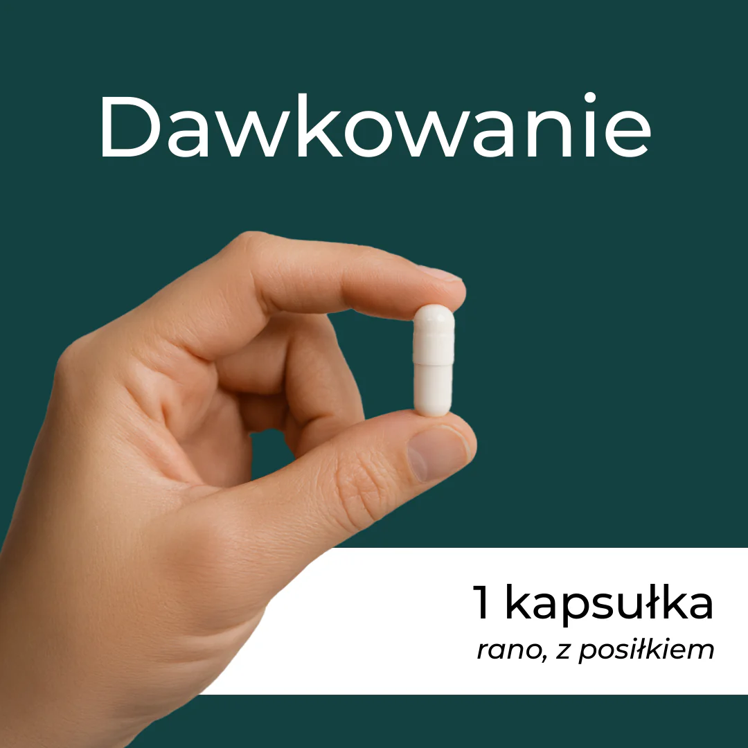 Zdjęcie produktu 5