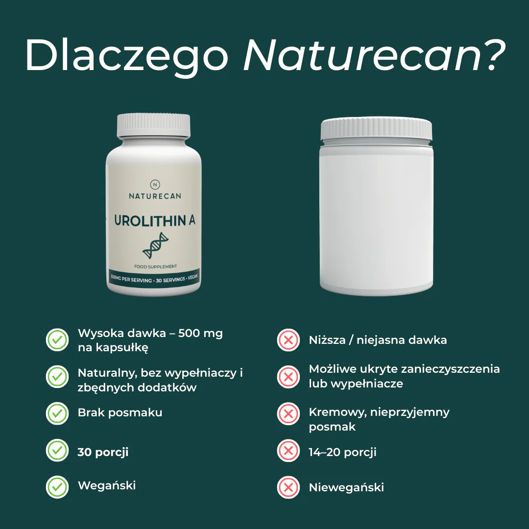 Zdjęcie produktu 6