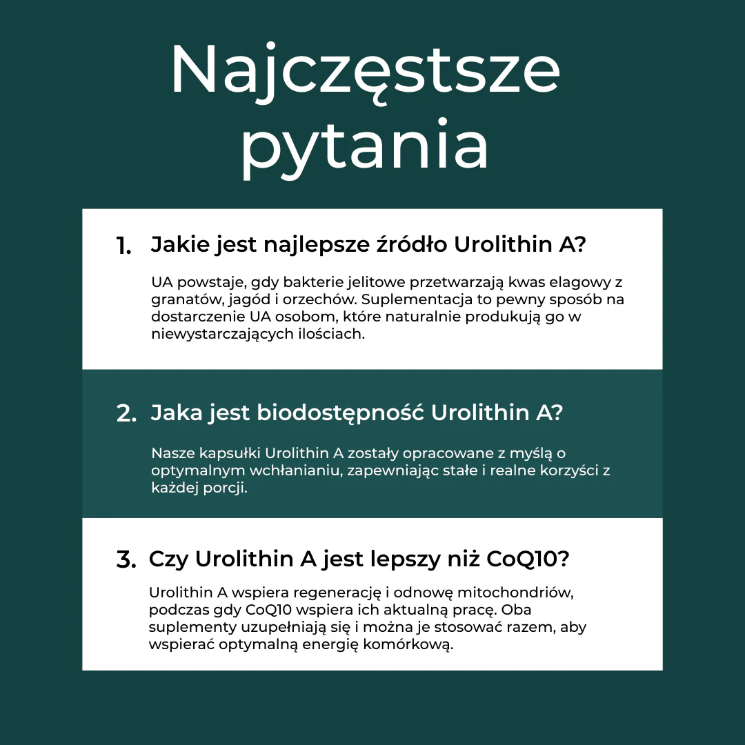 Zdjęcie produktu 7