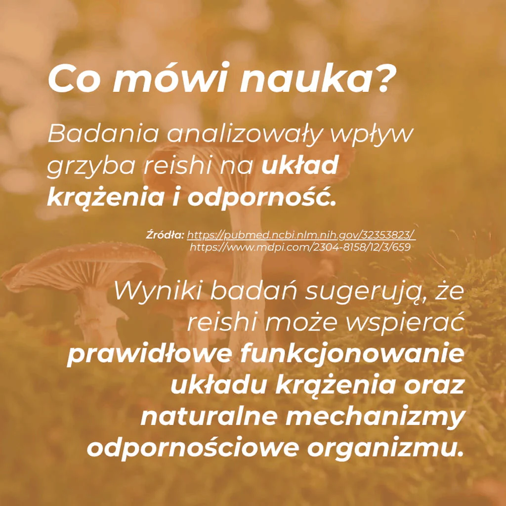 Zdjęcie produktu 5
